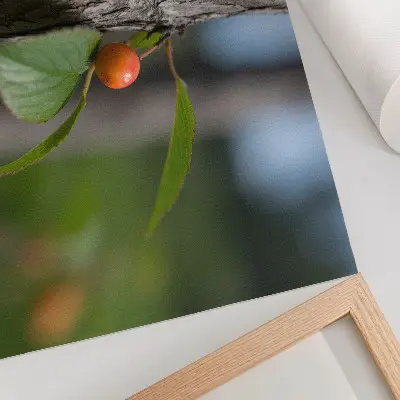 Affiche décorative représentant un fruit orange avec des feuilles vertes et une écorce brune