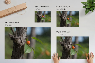 Affiche décorative fruit orange feuilles vertes écorce brune