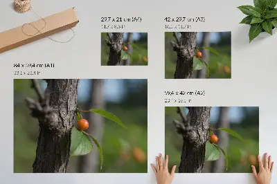 Affiche décorative représentant un fruit orange avec des feuilles vertes et une écorce brune