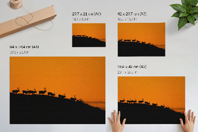 Affiche et poster Silhouettes de cerfs sur une colline avec un fond orange