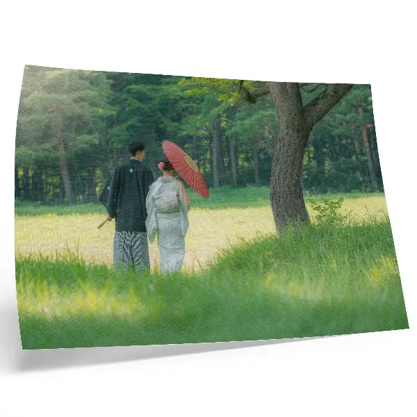 Affiche décorative représentant des vêtements traditionnels sous un parapluie dans une prairie arborée