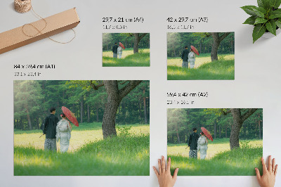 Affiche décorative vêtements traditionnels parapluie prairie verte arbres
