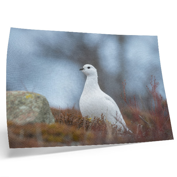 Affiche décorative Un oiseau blanc dans un décor hivernal