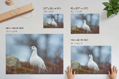 Affiche décorative Un oiseau blanc dans un décor hivernal