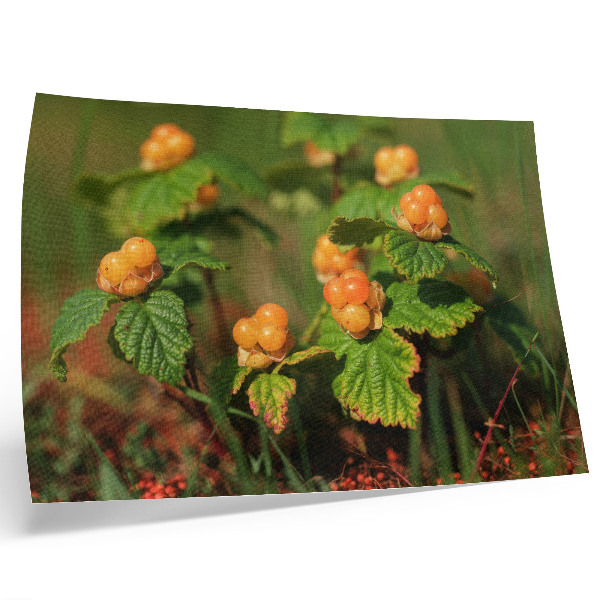Affiche Feuilles vertes, fruits orange, charme naturel