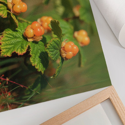 Affiche Feuilles vertes, fruits orange, charme naturel