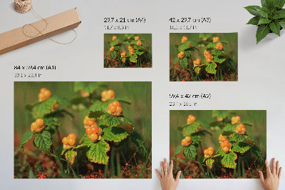 Affiche Feuilles vertes, fruits orange, charme naturel