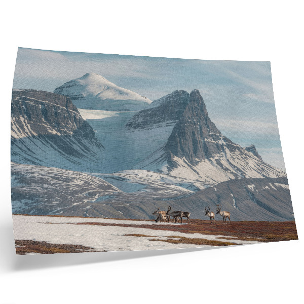 Affiche et poster Montagnes pittoresques, rennes, paix, paysage hivernal