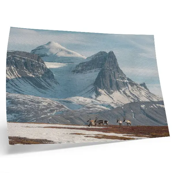 Affiche et poster représentant des montagnes pittoresques avec des rennes dans un paisible paysage hivernal