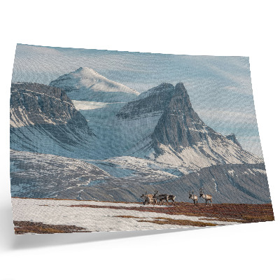 Affiche et poster Montagnes pittoresques, rennes, paix, paysage hivernal
