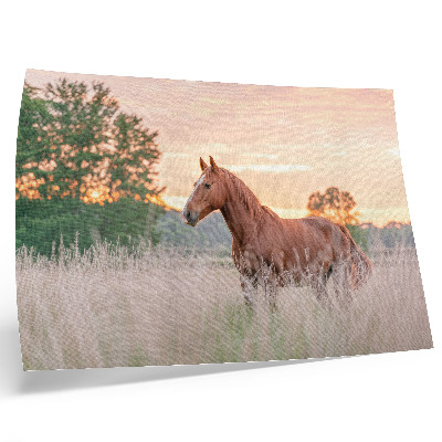 Affiche décorative Cheval dans la prairie au petit matin, couleurs pastel, détente