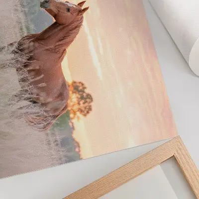Affiche décorative cheval dans la prairie au petit matin aux couleurs pastel pour un esprit détente