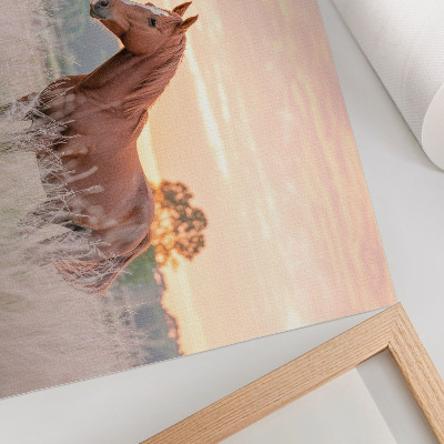 Affiche décorative Cheval dans la prairie au petit matin, couleurs pastel, détente