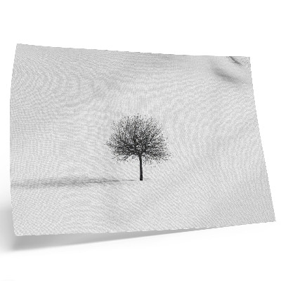 Affiche Motif minimaliste d'harmonie dans un paysage hivernal arboré