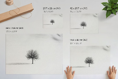 Affiche Motif minimaliste d'harmonie dans un paysage hivernal arboré