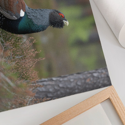 Affiche décorative Les couleurs des oiseaux, la nature de la forêt, l'atmosphère paisible