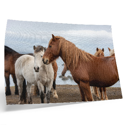 Affiche décorative La beauté naturelle des chevaux se détachant sur le paysage