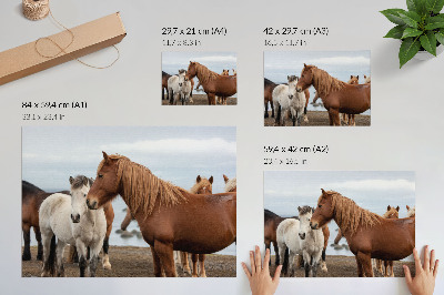 Affiche décorative La beauté naturelle des chevaux se détachant sur le paysage