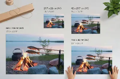 Affiche feu de camp au bord du lac avec des poissons sur des bâtonnets