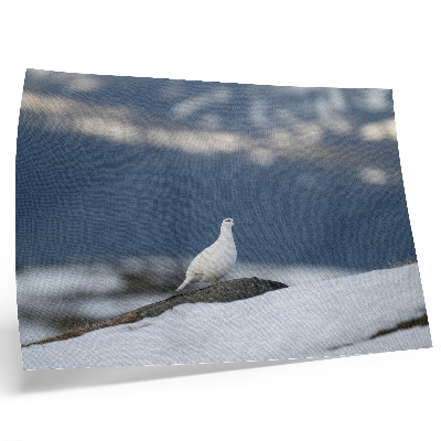 Affiche Oiseau dans la neige, douceur du paysage hivernal