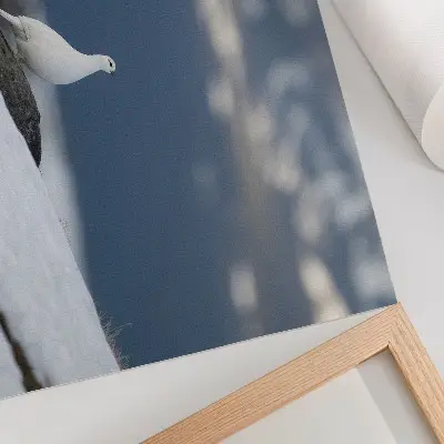 Affiche oiseau dans la neige avec une douceur de paysage hivernal