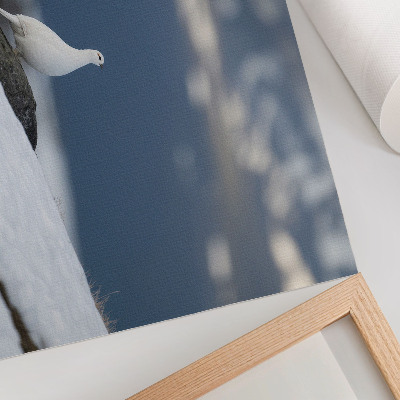 Affiche Oiseau dans la neige, douceur du paysage hivernal