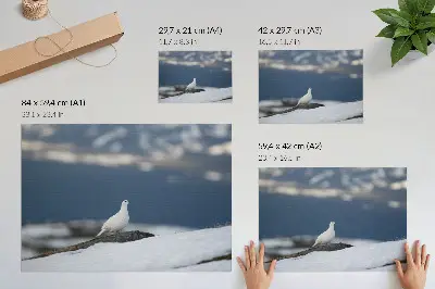 Affiche oiseau dans la neige avec une douceur de paysage hivernal