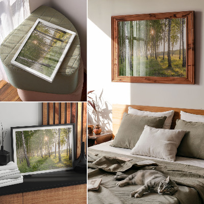 Affiche Rayons de soleil symétriques verts dans une forêt de bouleaux