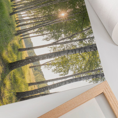 Affiche Rayons de soleil symétriques verts dans une forêt de bouleaux