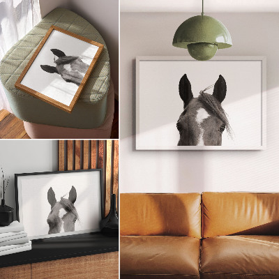 Affiche décorative Photographie en noir et blanc de l'élégance équine