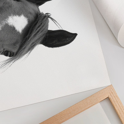 Affiche décorative Photographie en noir et blanc de l'élégance équine