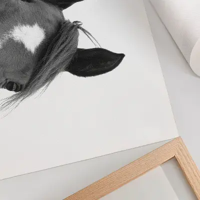 Affiche décorative photographie en noir et blanc représentant l'élégance équine