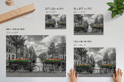 Affiche Une vue charmante sur le canal, des vélos, des tulipes, du noir et de l'orange