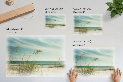 Affiche décorative Plage, herbe, océan, ciel, paix