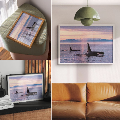 Affiche et poster Des orques sur fond de paysage marin pastel