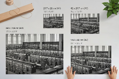 Affiche Bibliothèque classique avec étagères en bois