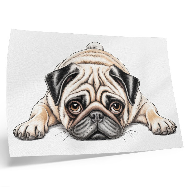 Affiche décorative Illustration de chien, couleurs chaudes et accueillantes, détails