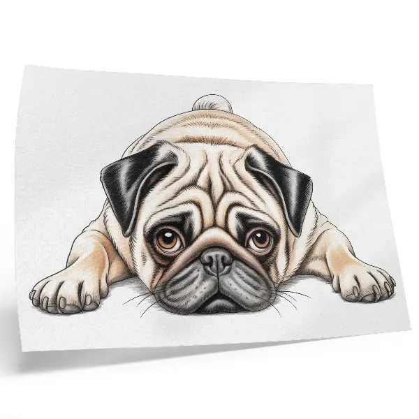 Affiche décorative représentant une illustration de chien aux couleurs chaudes et accueillantes avec de nombreux détails