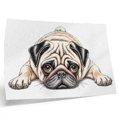 Affiche décorative Illustration de chien, couleurs chaudes et accueillantes, détails
