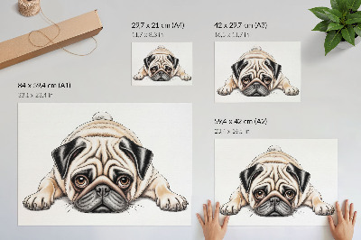 Affiche décorative Illustration de chien, couleurs chaudes et accueillantes, détails