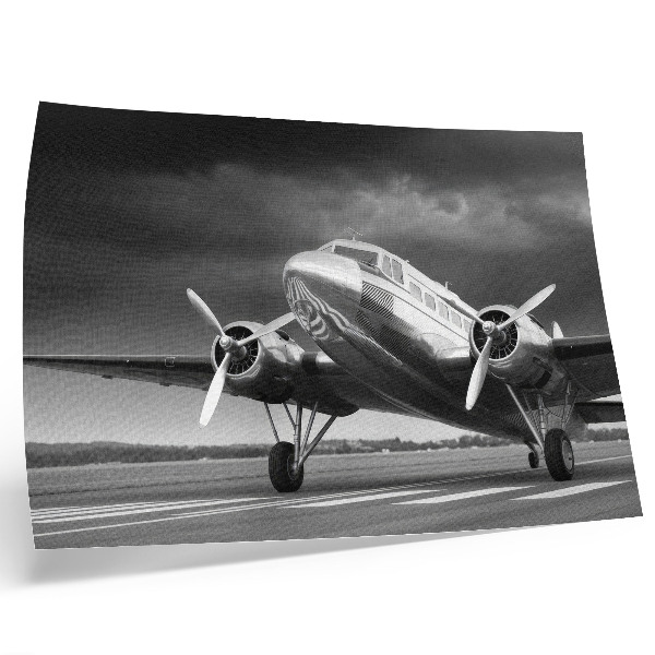 Affiche Vieil avion aux couleurs monochromes