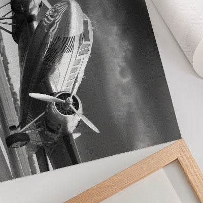 Affiche Vieil avion aux couleurs monochromes
