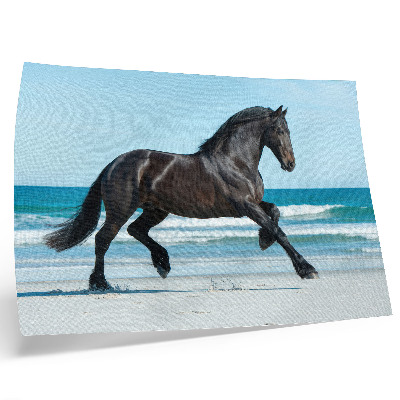 Affiche décorative Cheval au galop, ciel bleu sur la côte