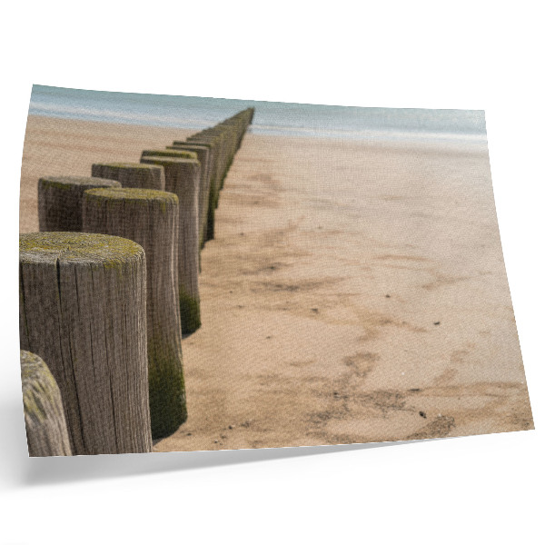 Affiche Pieux en bois plage mer paix nature