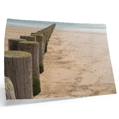 Affiche représentant des pieux en bois sur une plage avec une ambiance de paix et de nature