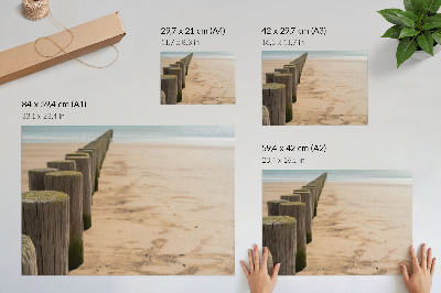 Affiche Pieux en bois plage mer paix nature