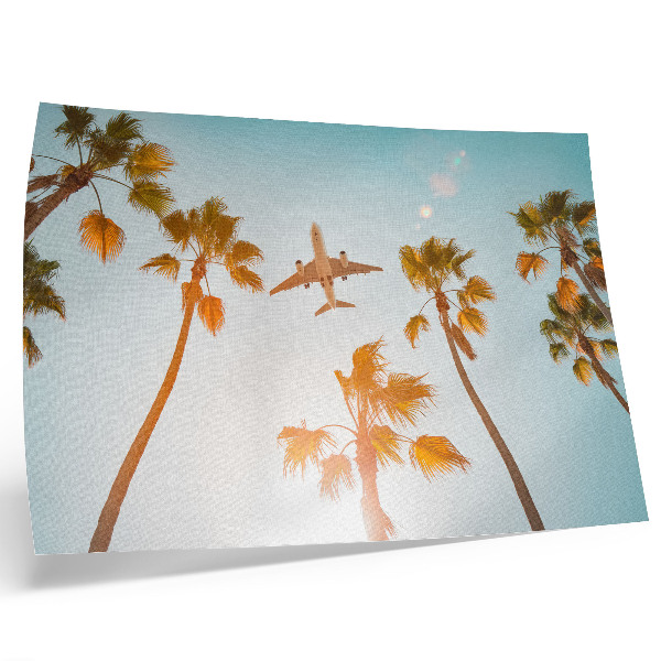 Affiche décorative Avion, palmiers, ciel bleu, climat tropical