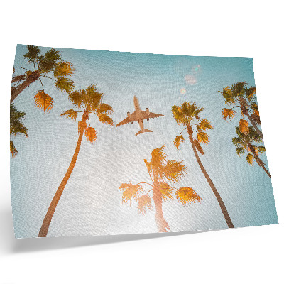 Affiche décorative Avion, palmiers, ciel bleu, climat tropical