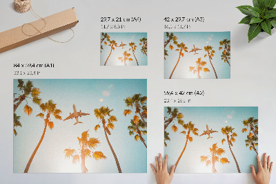 Affiche décorative Avion, palmiers, ciel bleu, climat tropical