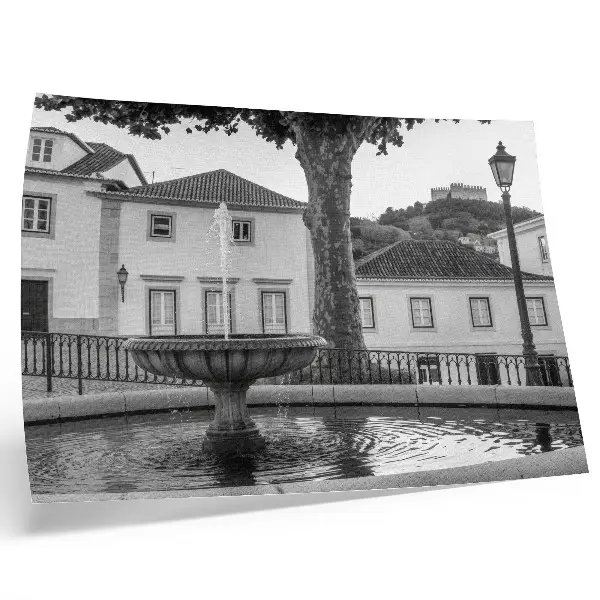 Affiche et poster fontaine en noir et blanc avec des bâtiments classiques et un château